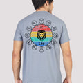  Vireo Grey