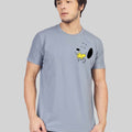  Vireo Grey