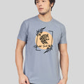  Vireo Grey